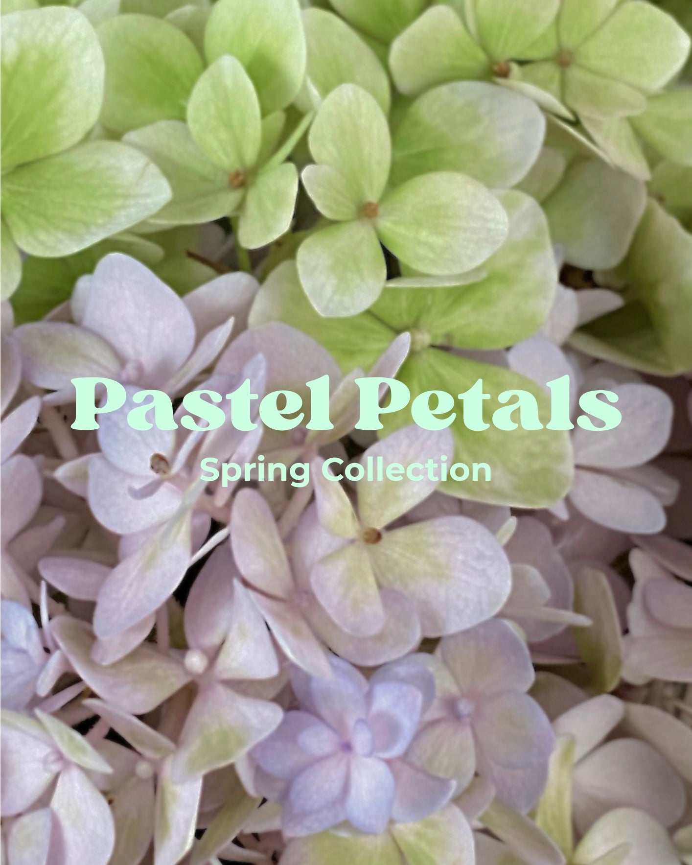 Pastel Petals